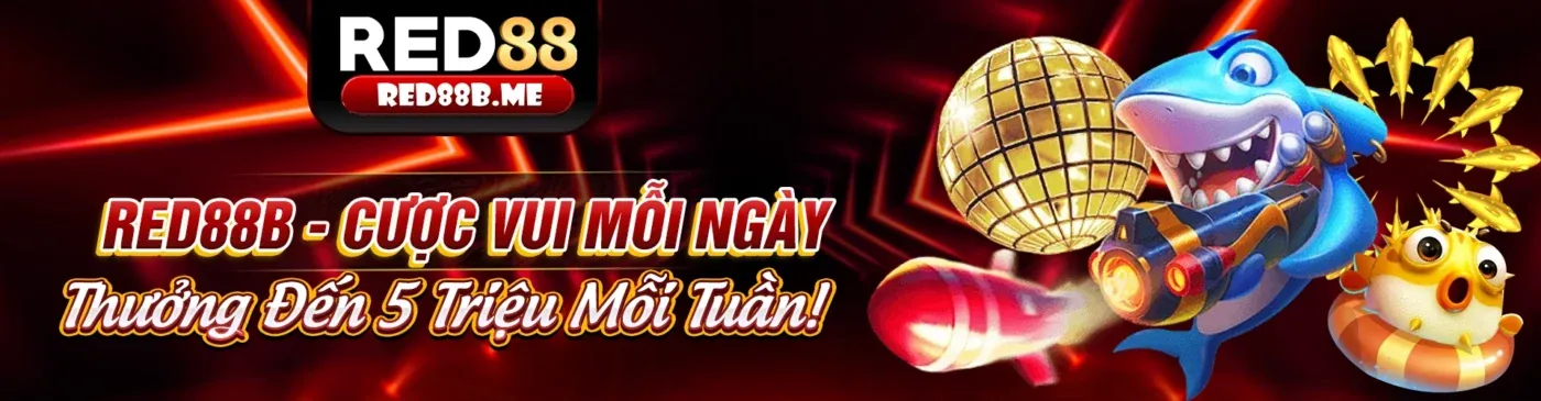 Hình ảnh đại diện cho chính sách tuân thủ GDPR của 9win link mới